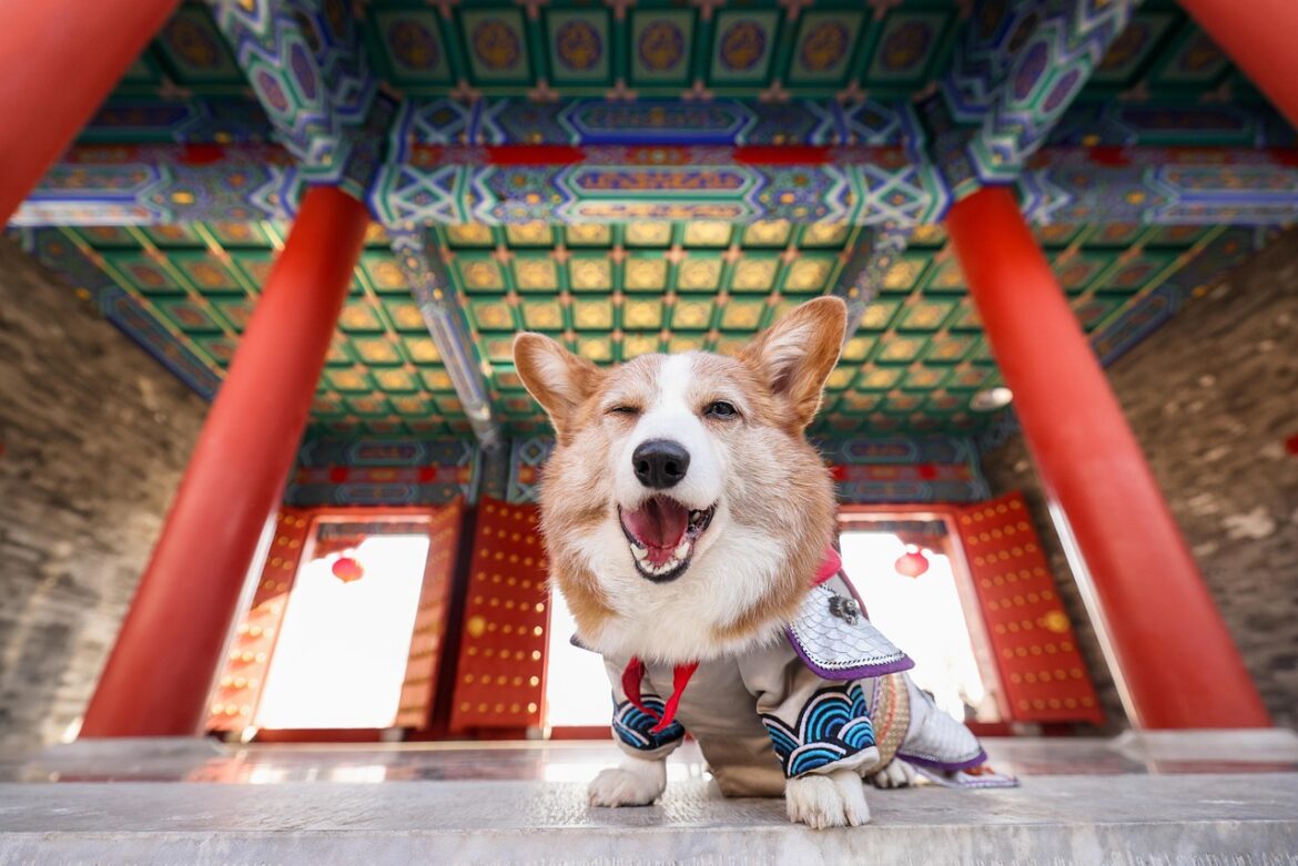 Affordable Companions: Top Pet Breeds for Budget-Conscious Families