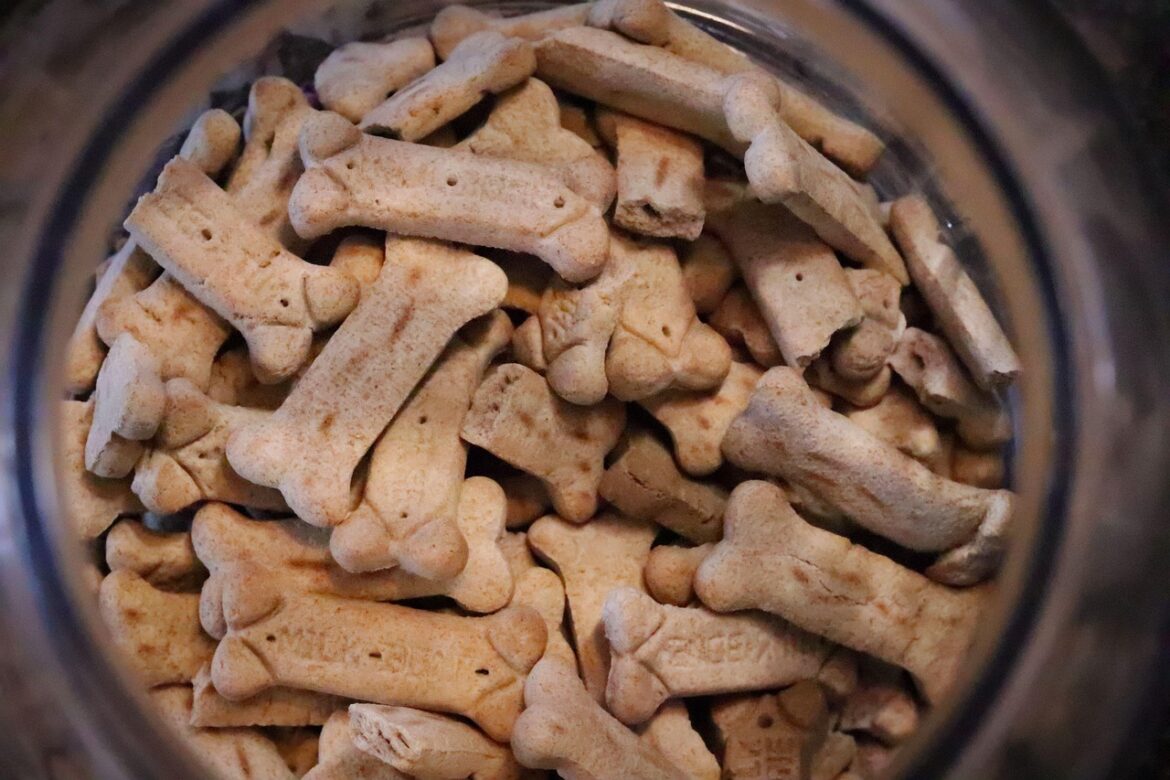 Puppy Feeding Guide: Optimal Daily Portions