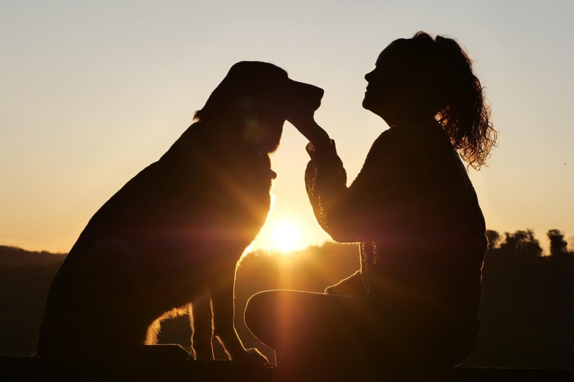 Essential Winter Care Tips for Small Dog Breeds